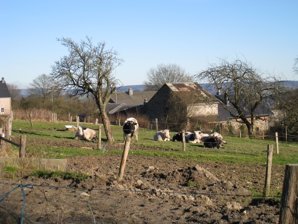 Stavelot (10).JPG